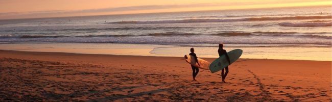 Surf